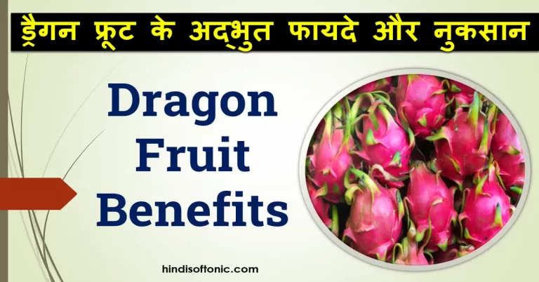 ड्रैगन फ्रूट के अद्भुत फायदे और नुकसान (Benefits Of Dragon Fruit in Hindi)